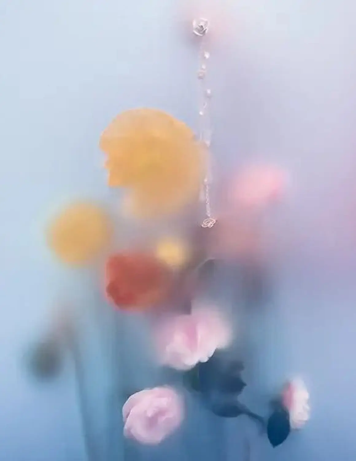 Wonder generated image