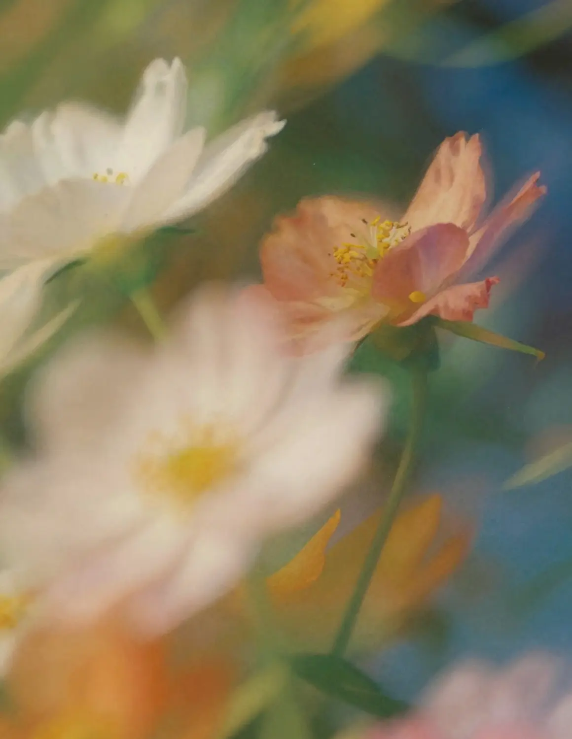 Wonder generated image